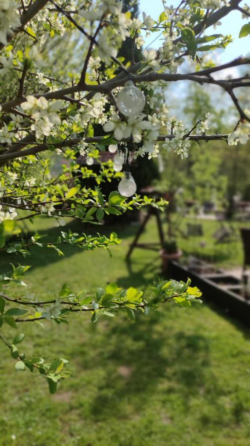 Schlossparkhotel Sallgast Екстер'єр фото