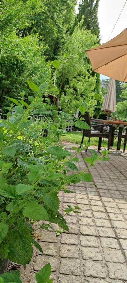 Schlossparkhotel Sallgast Екстер'єр фото